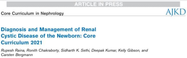 Our ICONIC team has published a Core Curriculum in AJKD journal, on ‘Renal Cystic Disease in Newborns’