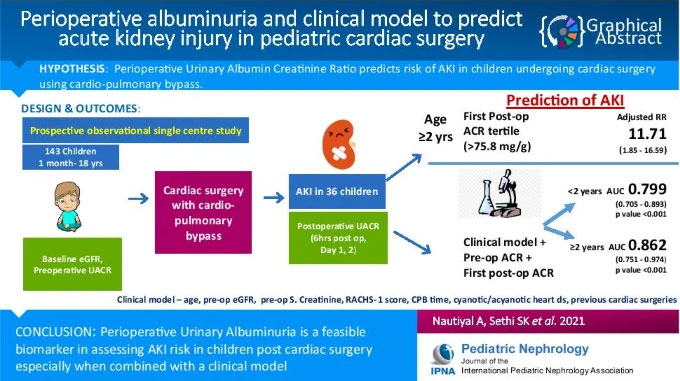Perioperative albuminuria and clinical model to predict acute kidney injury in paediatric cardiac surgery